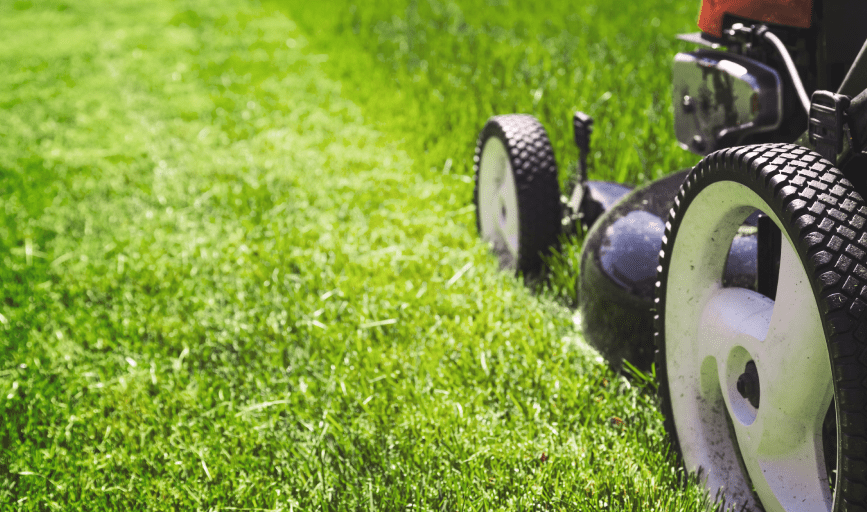 RESIDENTIAL LAWN CARE